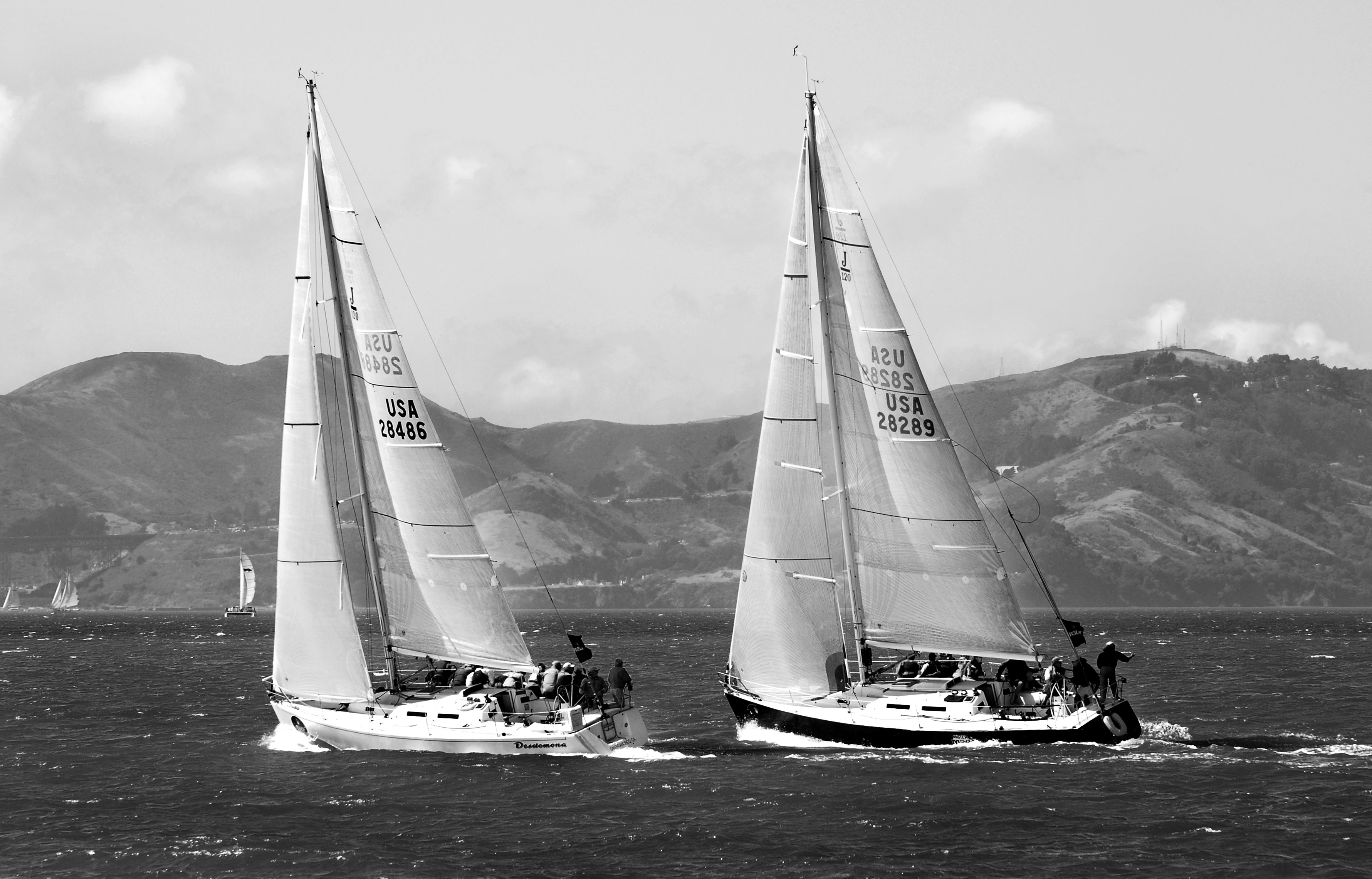yacht racing san francisco